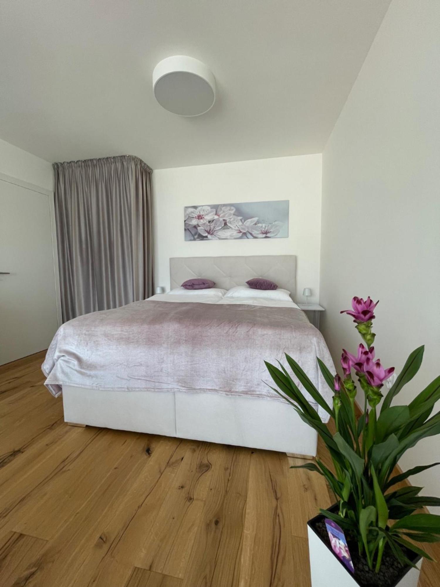 H52 Apartments برنو المظهر الخارجي الصورة